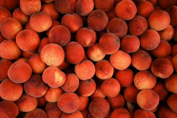 Red peach chinese - 🧡 Саженцы персиков - Купить в Ростове-на-Дону - Беспла...